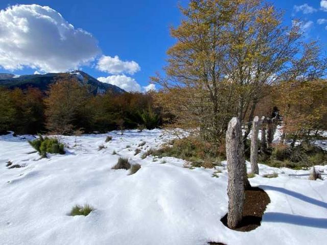 EN VENTAPARCELA 5000M2 EN LOTEO MALALCAHUELLO