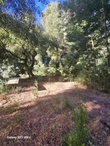 VENDO GRAN TERRENO CON ACCESO A RIO, A ORILLA DE CARRETERA
