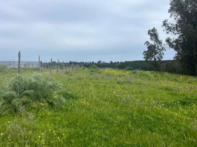 PARCELA EN EL CONVENTO, SANTO DOMINGO V REGION