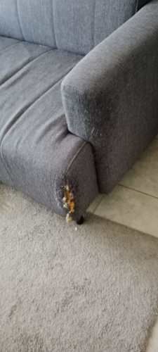 Sofa 2 cuerpos buen estado