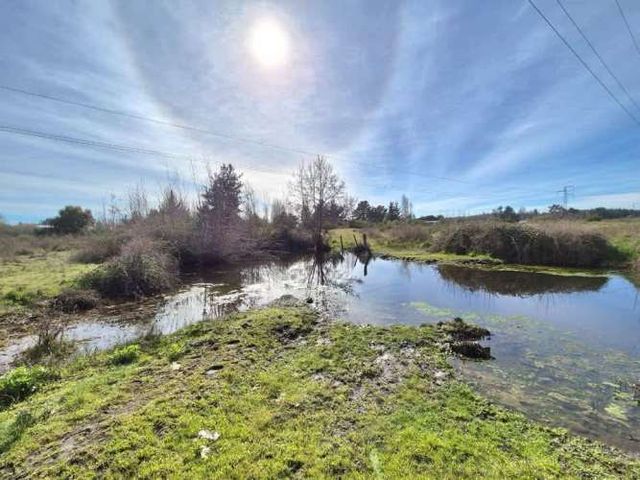 ¡Oportunidad de inversión de parcelas en Paso Hondo, Concepción!