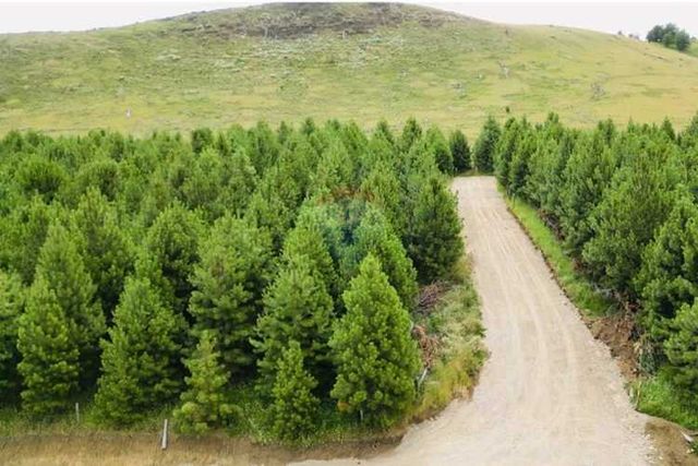 Parcelas de 5.000 m², patagonia aysén