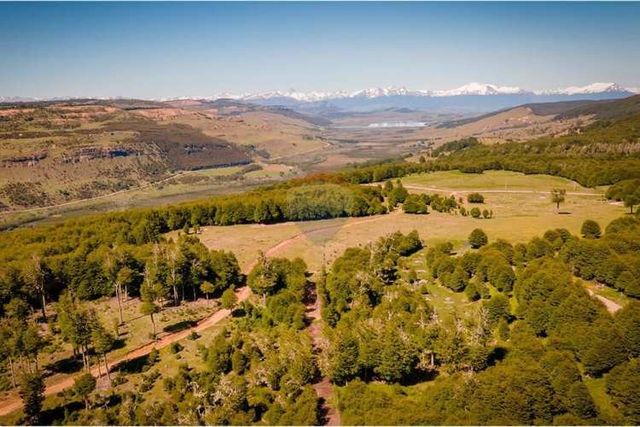 Maravillosas parcelas de 5.000 m² en coyhaique