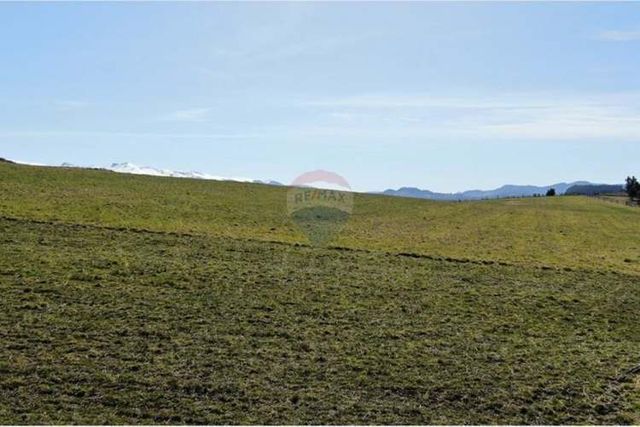 Parcelas de 5.000 m² en coyhaique