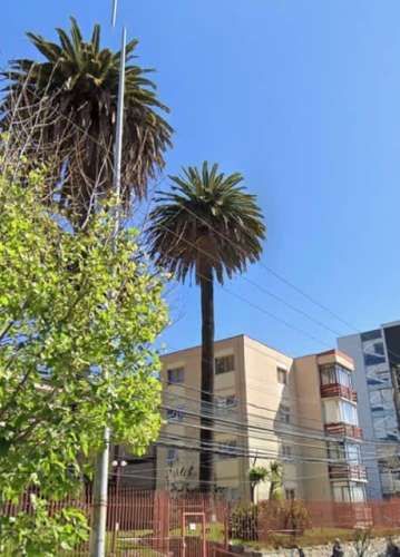 DEPARTAMENTO Alvarez