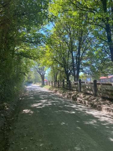 PARCELA Condominio Parque del Arrayán