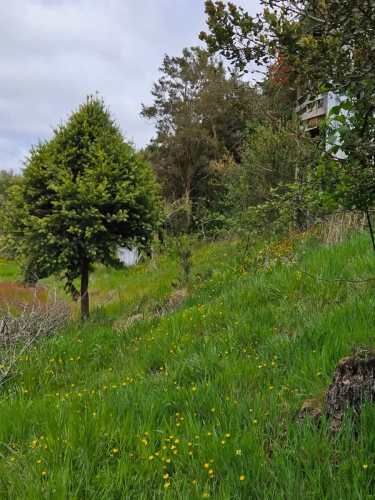 PARCELA CAULIN HIJUELA DOS LOTE 1 D X