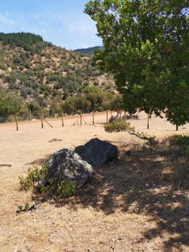 Parcela cercada, Hacienda Panamá, Santa Cruz (124428)