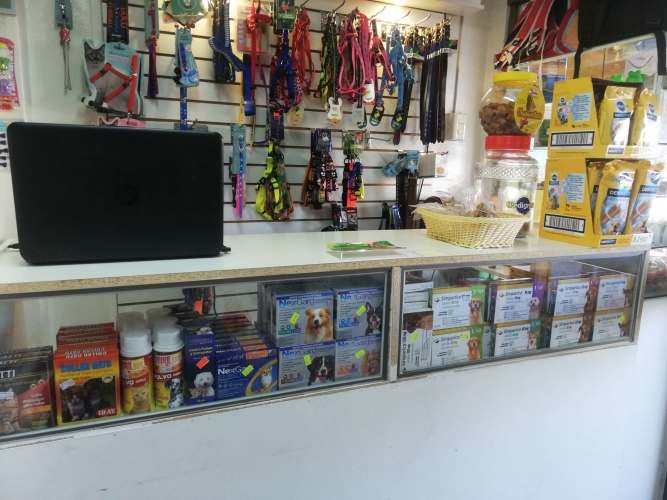 OPORTUNIDAD - DERECHOS DE LLAVE Tienda de Mascotas