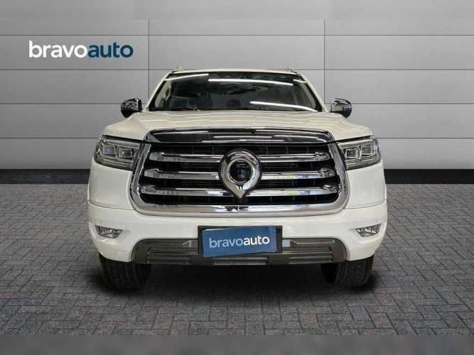 GREAT WALL POER PLUS 2023