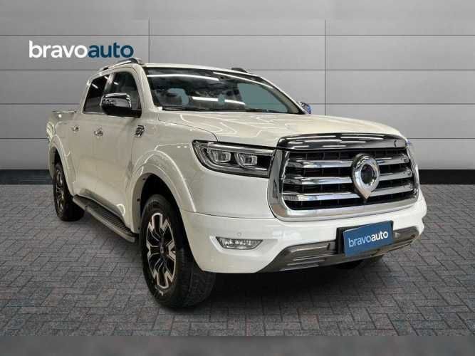 GREAT WALL POER PLUS 2023