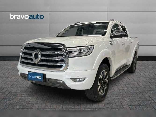 GREAT WALL POER PLUS 2023