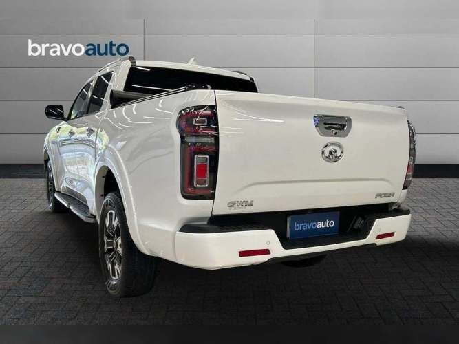 GREAT WALL POER PLUS 2023