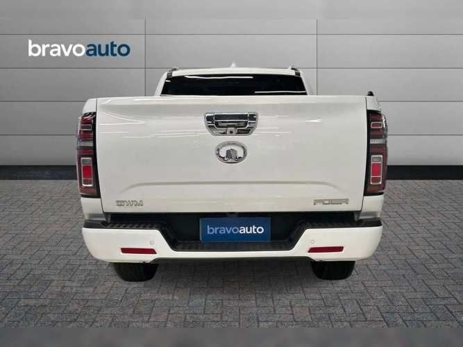 GREAT WALL POER PLUS 2023