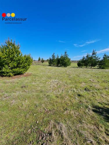 PARCELA san nicolas sector lleguen