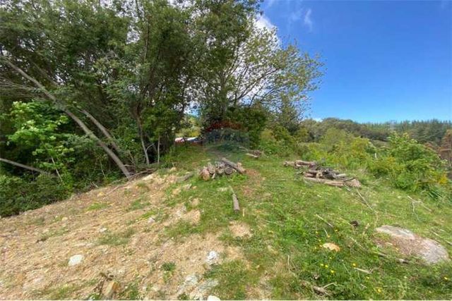 Valdivia vende parcela con vista