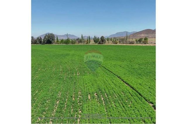 Terreno en lampa: 5000m² para tu proyecto ideal