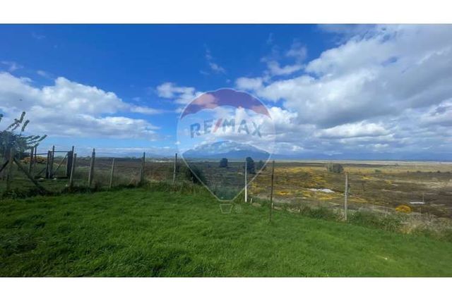 Invierte en puerto varas: ruta alerce