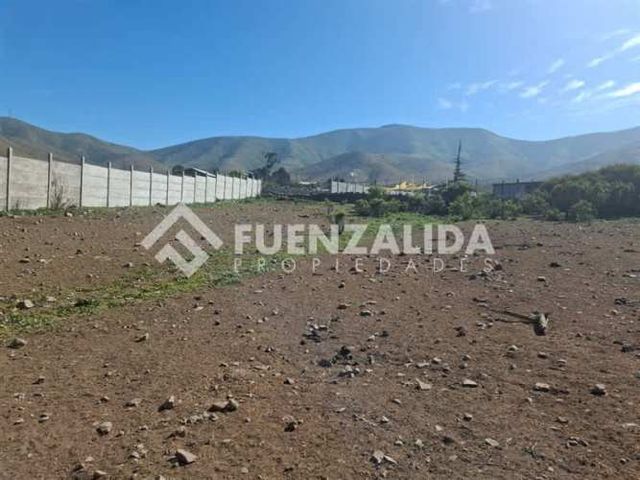 SITIO Elena Valdés de Rosas