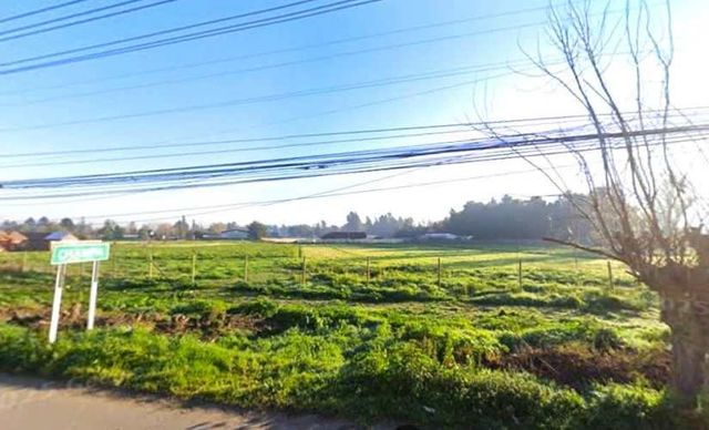 SITIO Dario Pavez y Jorge Alessandri