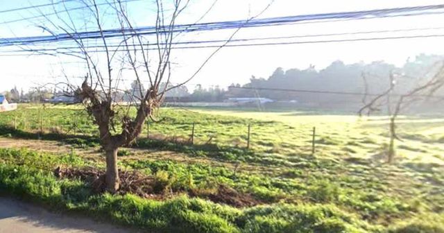 SITIO Dario Pavez y Jorge Alessandri