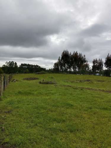 VENTA PARCELA 5000MTS Valdivia