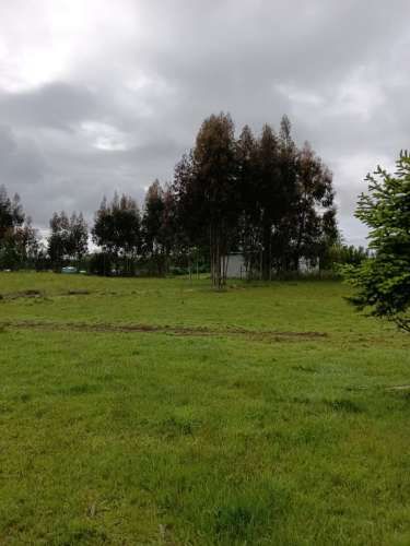 VENTA PARCELA 5000MTS Valdivia