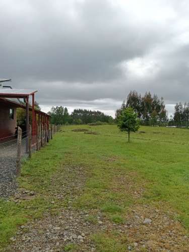 VENTA PARCELA 5000MTS Valdivia