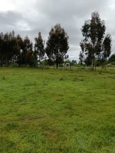 VENTA PARCELA 5000MTS Valdivia