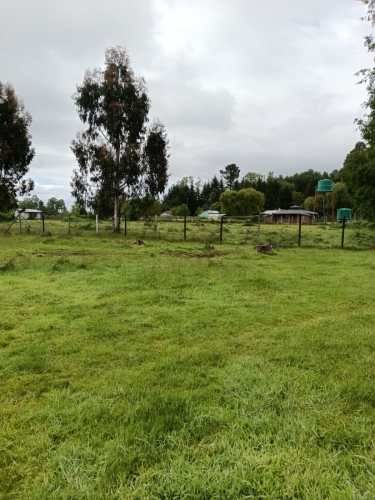 VENTA PARCELA 5000MTS Valdivia