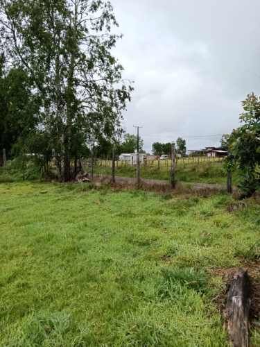 VENTA PARCELA 5000MTS Valdivia