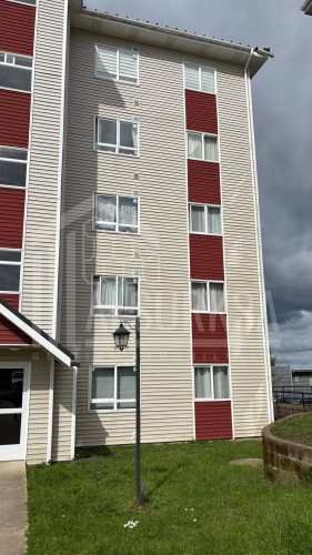 AMPLIO Y LUMINOSO DEPARTAMENTO EN PELLUCO UN DORMITORIO