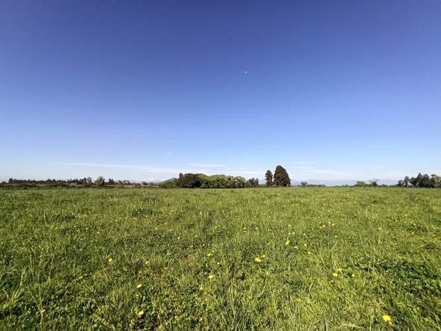 PROPIEDAD AGRICOLA EN VENTA 18,4 HA SAN CLEMENTE