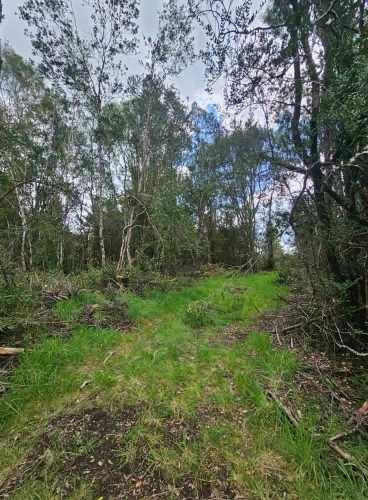 HERMOSA PARCELA VILLARRICA, SECTOR PIEDRA AMARILLA
