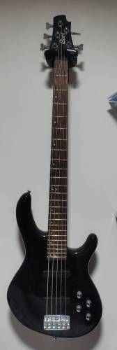 Bajo Activo 5 cuerdas