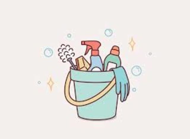 ASESORA DEL HOGAR SOLO EXPERIENCIA