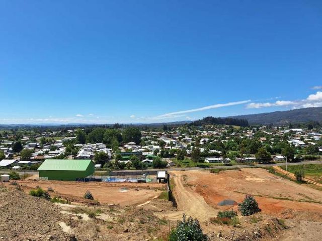 Purén, se venden Terrenos 5000 M2