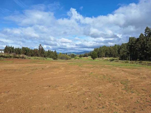 ANGOL, terrenos de 5000 m2 a 1 km de doble vía Ruta Nahuelbuta