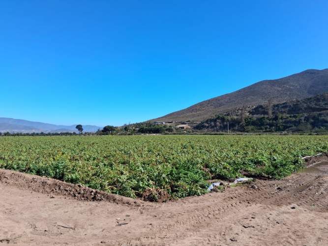 PARCELA VALLE DE ELQUI PELICANA 5000M2 PLANOS