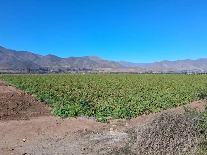 PARCELA VALLE DE ELQUI PELICANA 5000M2 PLANOS