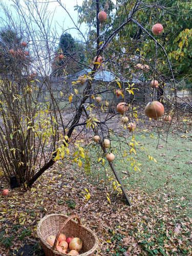 Hermosa Casa de Campo