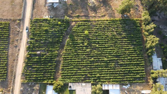 Se arrienda parcela de 5000 Metros cuatrados de Viña