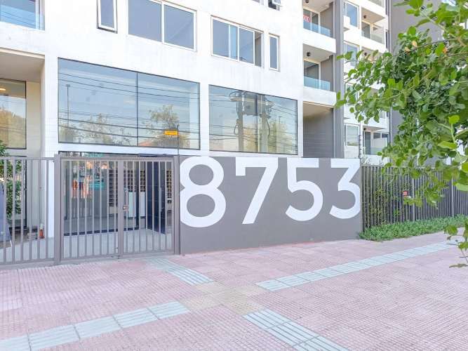 Paulina 8753 (1 Bod) [3118-11]