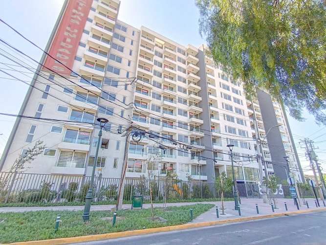 Paulina 8753 (1 Bod) [3118-11]