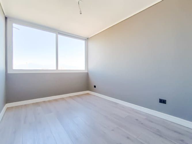 Paulina 8753 (1 Bod) [3118-11]