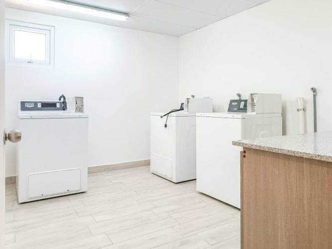 Paulina 8753 (1 Bod) [3118-11]