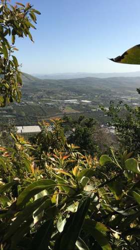 Se Vende Parcela 5000 Mts En Condominio Lomas De San Isidro