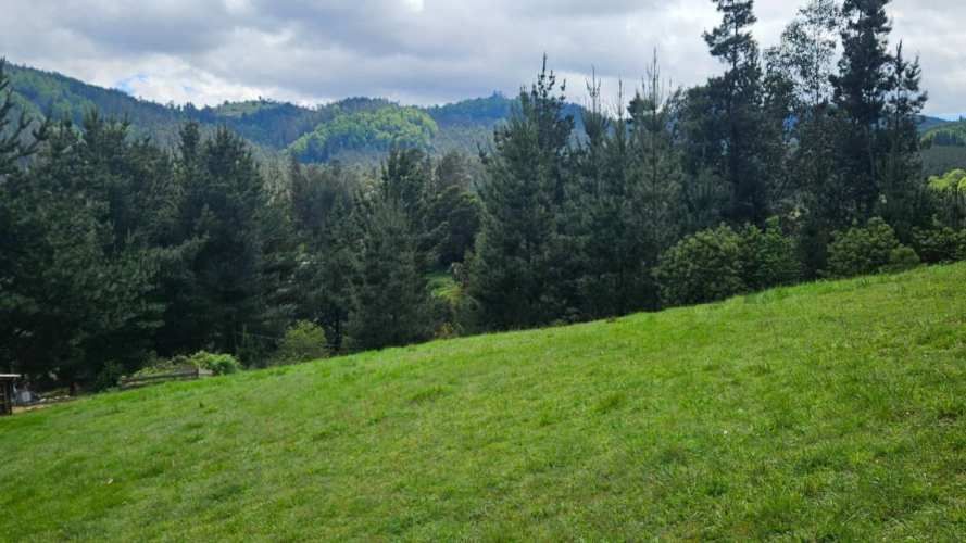Cabaña con Parcela solo a 5 KM de Temuco sector Monteverde