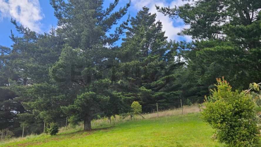 Cabaña con Parcela solo a 5 KM de Temuco sector Monteverde