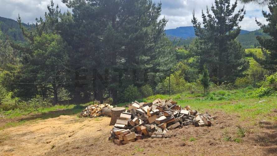 Cabaña con Parcela solo a 5 KM de Temuco sector Monteverde
